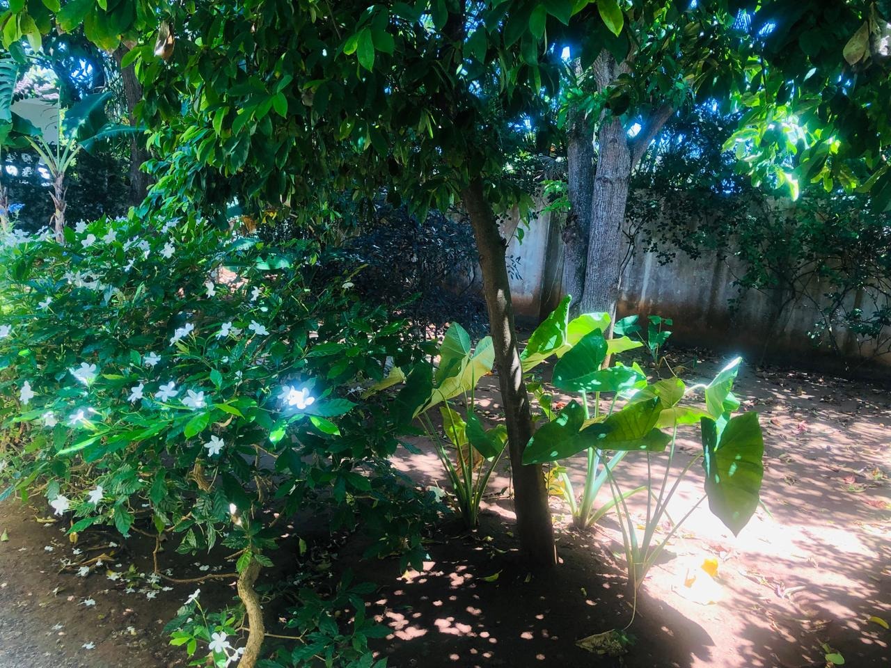 House for Sale in Costambar, Puerto Plata, DR – 5 Minutes from the Beach 🏖️