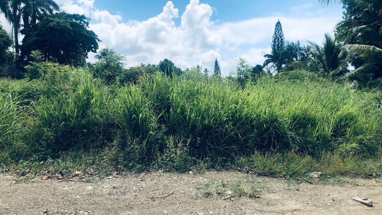 Plot for sale facing the sea in Costambar, Puerto Plata