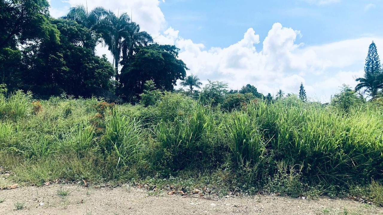 Plot for sale facing the sea in Costambar, Puerto Plata