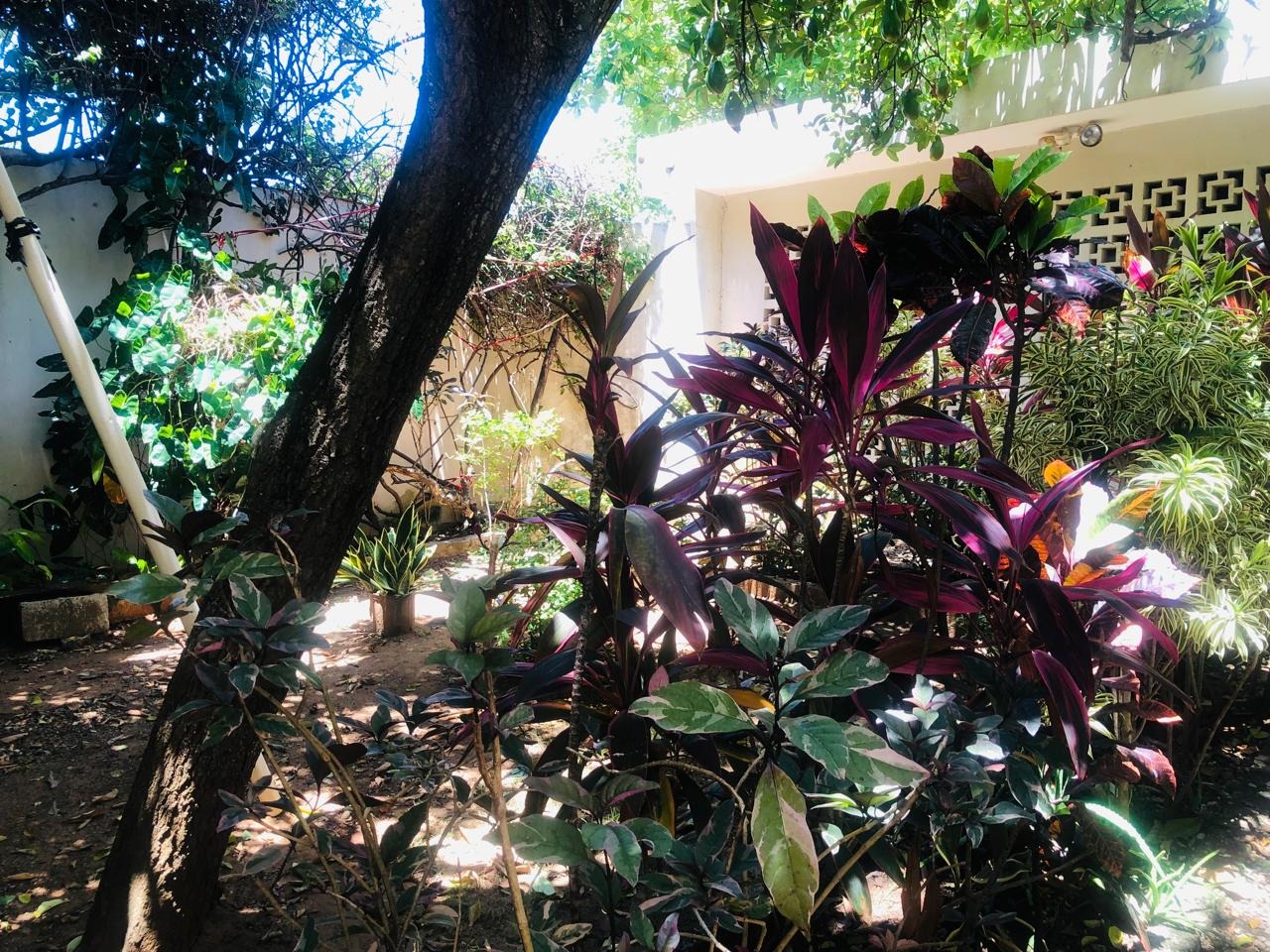 House for Sale in Costambar, Puerto Plata, DR – 5 Minutes from the Beach 🏖️