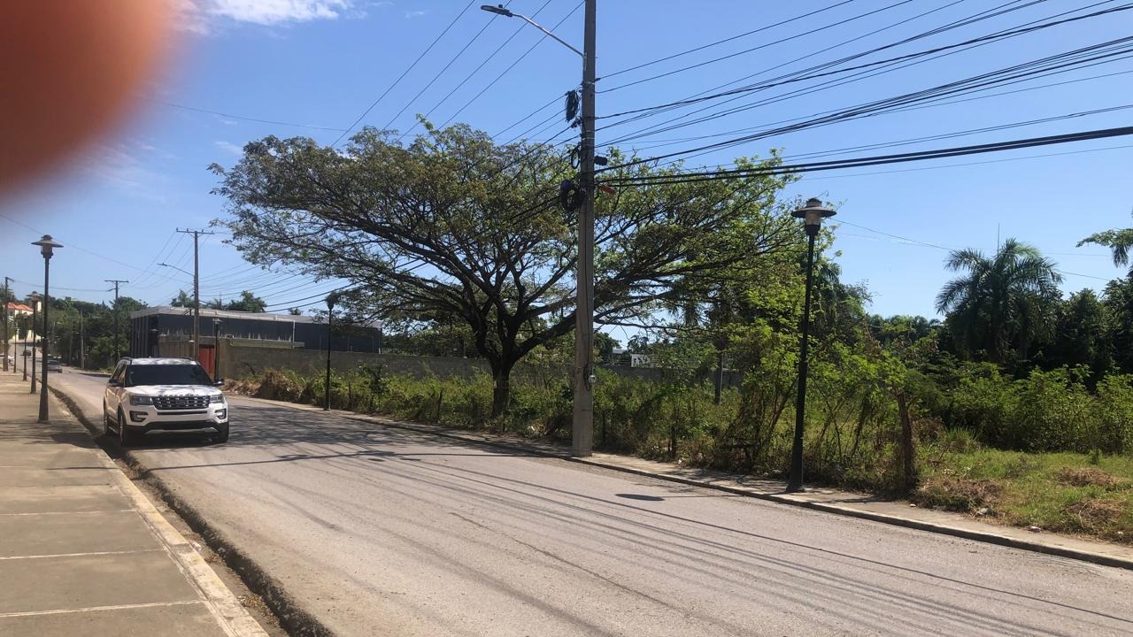 Land for sale across from the UASD University